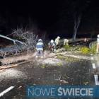 zdjęcie nr 12