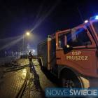 zdjęcie nr 8
