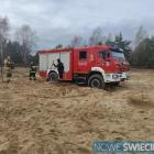 Fotka nr 4 z 12