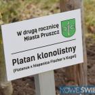 Fotka nr 4 z 26