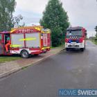Fotka nr 5 z 42