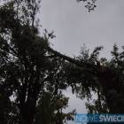 zdjęcie nr 9