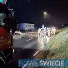 zdjęcie nr 15