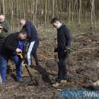 zdjęcie nr 21