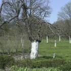 zdjęcie nr 44