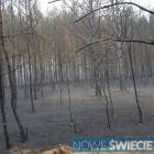 zdjęcie nr 10