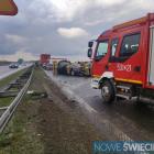 zdjęcie nr 8