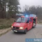 zdjęcie nr 11