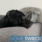 Fotka nr 4 z 7