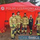 Fotka nr 3 z 6