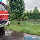 Fotka nr 1 z 42