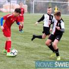 Fotka nr 5 z 13