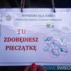 zdjęcie nr 31