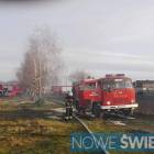 Fotka nr 2 z 11