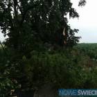 Fotka nr 2 z 17
