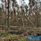 Fotka nr 1 z 21