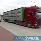 Fotka nr 1 z 3