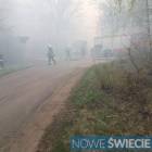 Fotka nr 4 z 13