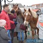 zdjęcie nr 129