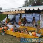 zdjęcie nr 11