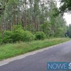 zdjęcie nr 20