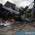 Fotka nr 4 z 14