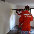 Fotka nr 5 z 11