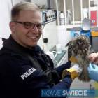 Fotka nr 3 z 4