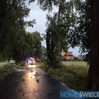 Fotka nr 5 z 18