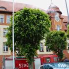 zdjęcie nr 14