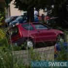 Fotka nr 5 z 7