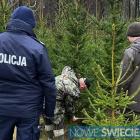 Fotka nr 2 z 12