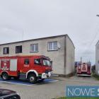 Fotka nr 1 z 2