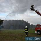 zdjęcie nr 13