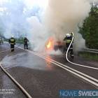 Fotka nr 5 z 9