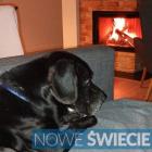 Fotka nr 1 z 7