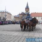zdjęcie nr 112
