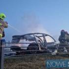 Fotka nr 3 z 15