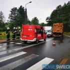 Fotka nr 1 z 3