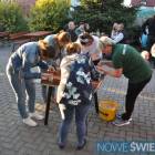 zdjęcie nr 19