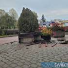 zdjęcie nr 7