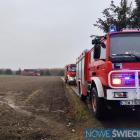 Fotka nr 2 z 3