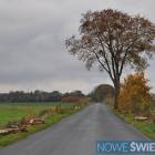 zdjęcie nr 9
