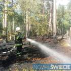 Fotka nr 2 z 11