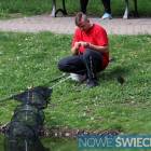Fotka nr 5 z 18