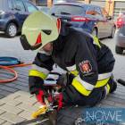 Fotka nr 2 z 20