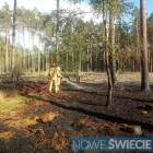 Fotka nr 4 z 11