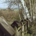 zdjęcie nr 39