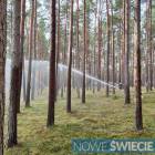 Fotka nr 3 z 21