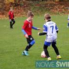 zdjęcie nr 11